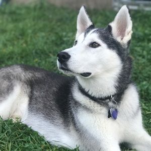 Meet your Posher, Molly